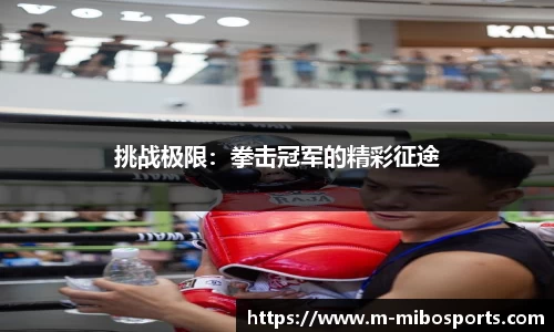 挑战极限：拳击冠军的精彩征途