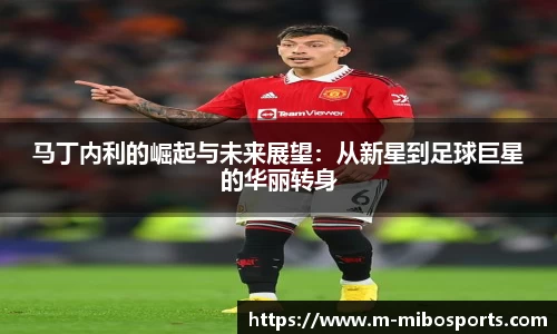 米博体育官网